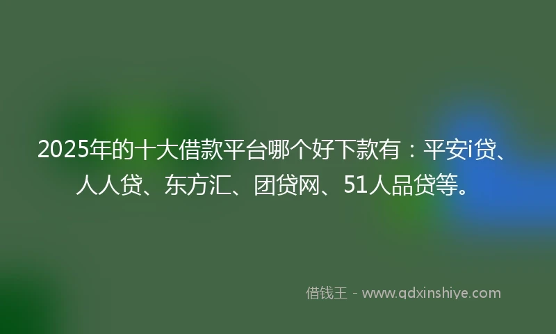 2025年的十大借款平台哪个好下款有：平安i贷、人人贷、东方汇、团贷网、51人品贷等。