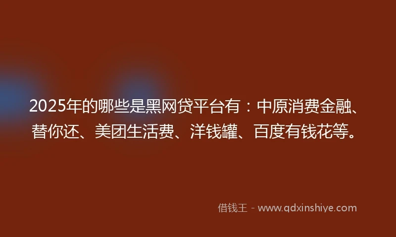 2025年的哪些是黑网贷平台有：中原消费金融、替你还、美团生活费、洋钱罐、百度有钱花等。