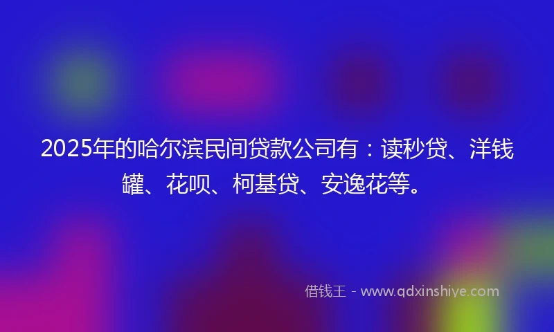 2025年的哈尔滨民间贷款公司有：读秒贷、洋钱罐、花呗、柯基贷、安逸花等。