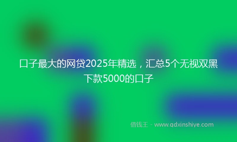 口子最大的网贷2025年精选，汇总5个无视双黑下款5000的口子