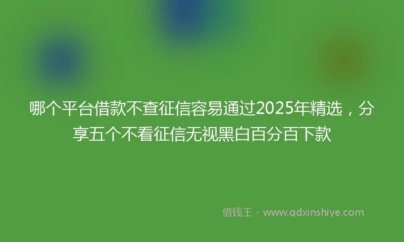 哪个平台借款不查征信容易通过2025年精选，分享五个不看征信无视黑白百分百下款