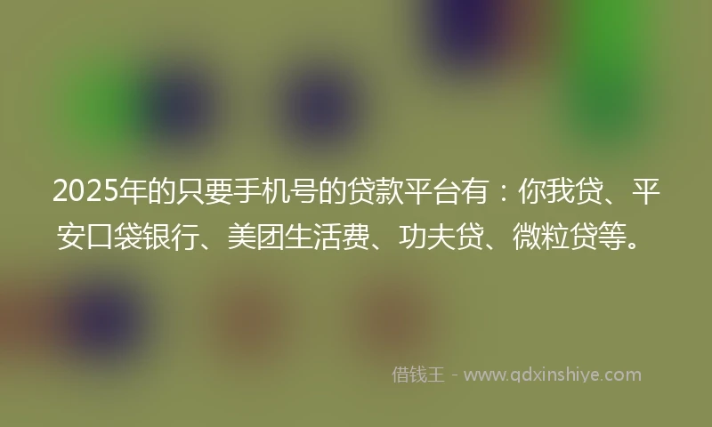 2025年的只要手机号的贷款平台有：你我贷、平安口袋银行、美团生活费、功夫贷、微粒贷等。