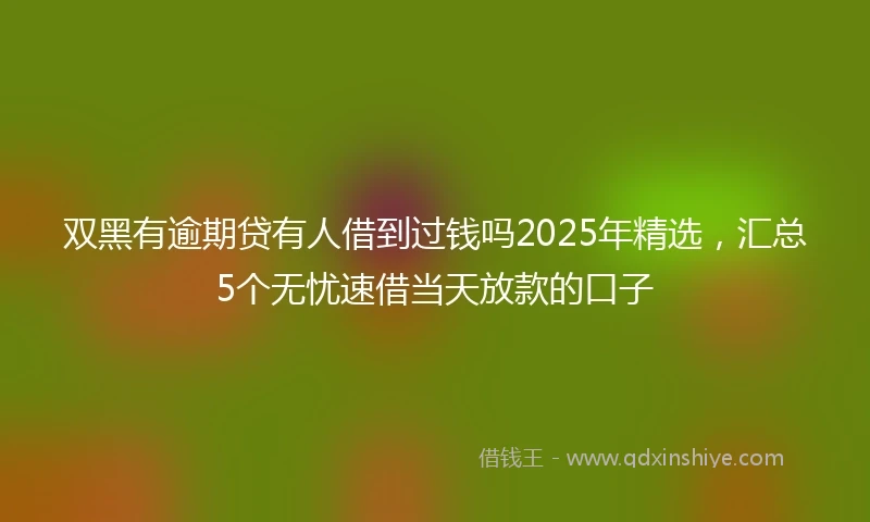 双黑有逾期贷有人借到过钱吗2025年精选，汇总5个无忧速借当天放款的口子