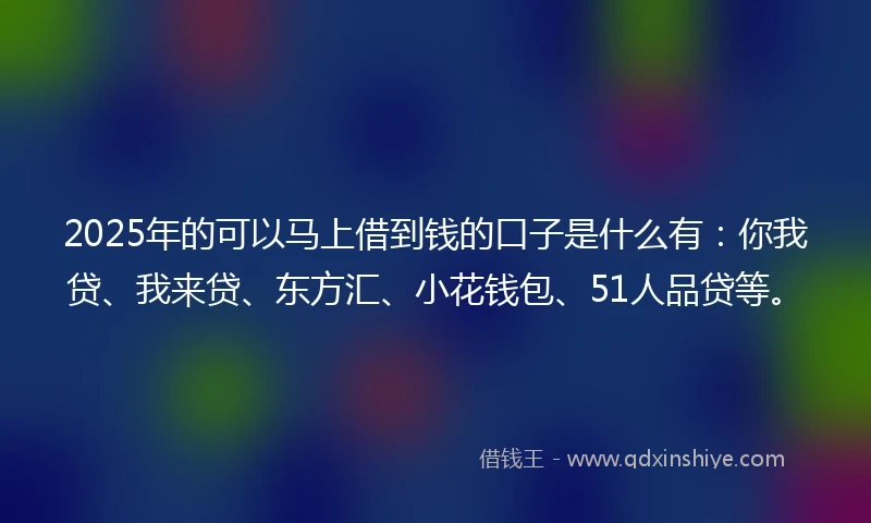 2025年的可以马上借到钱的口子是什么有：你我贷、我来贷、东方汇、小花钱包、51人品贷等。