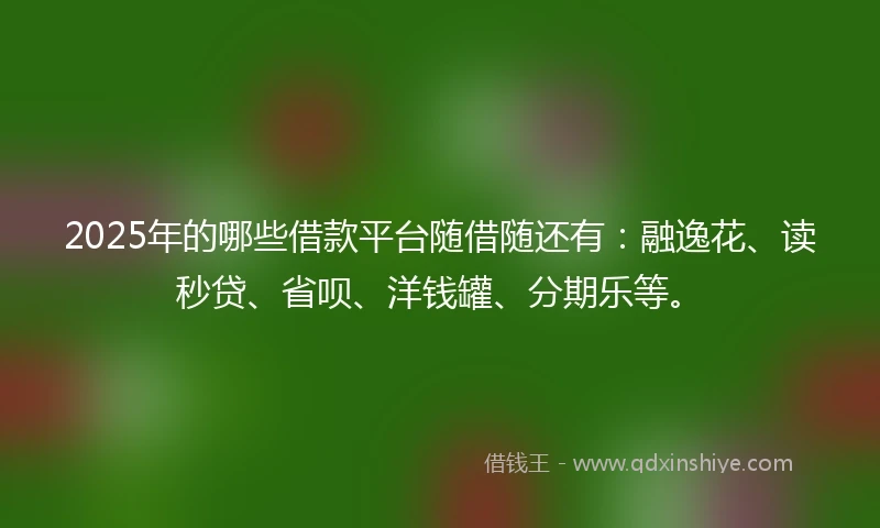 2025年的哪些借款平台随借随还有：融逸花、读秒贷、省呗、洋钱罐、分期乐等。