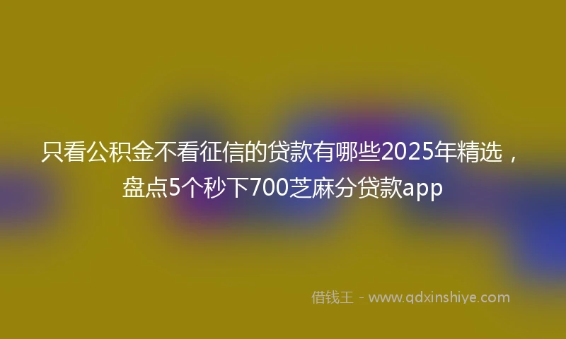 只看公积金不看征信的贷款有哪些2025年精选,盘点5个秒下700芝麻分贷款app