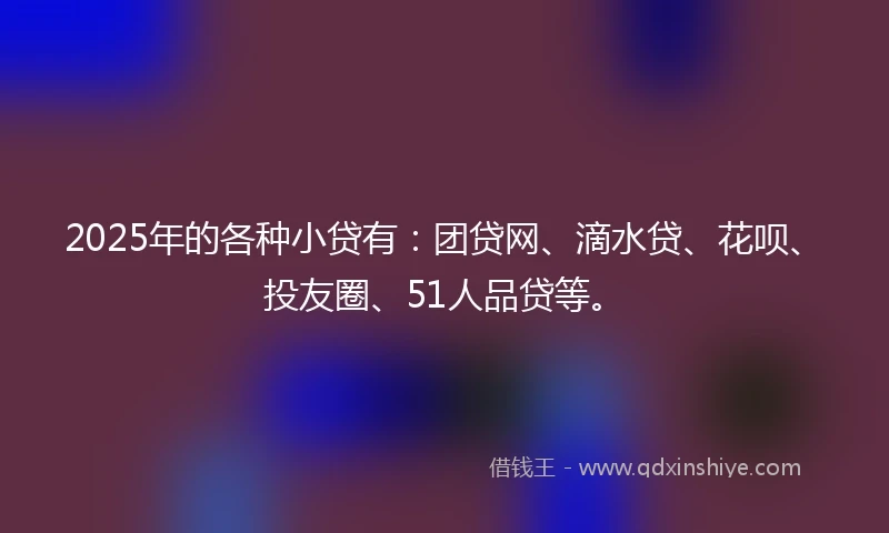2025年的各种小贷有：团贷网、滴水贷、花呗、投友圈、51人品贷等。