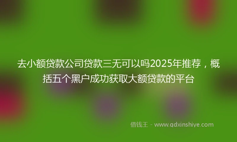 去小额贷款公司贷款三无可以吗2025年推荐，概括五个黑户成功获取大额贷款的平台
