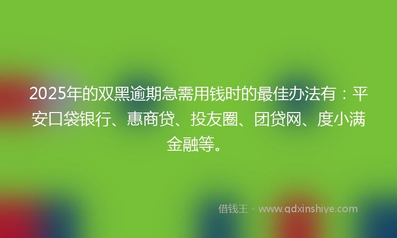 2025年的双黑逾期急需用钱时的最佳办法有：平安口袋银行、惠商贷、投友圈、团贷网、度小满金融等。