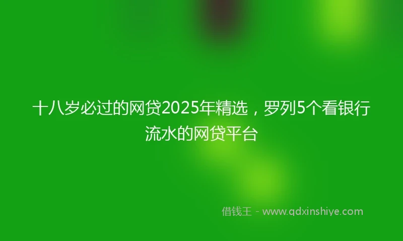 十八岁必过的网贷2025年精选，罗列5个看银行流水的网贷平台