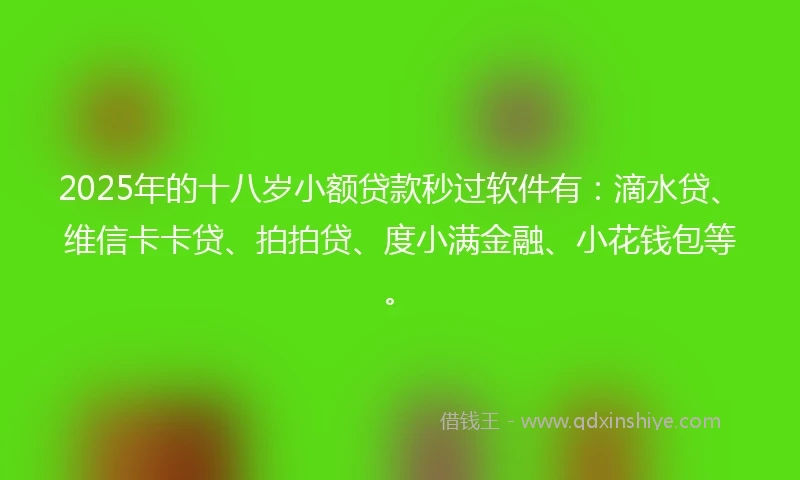 2025年的十八岁小额贷款秒过软件有：滴水贷、维信卡卡贷、拍拍贷、度小满金融、小花钱包等。
