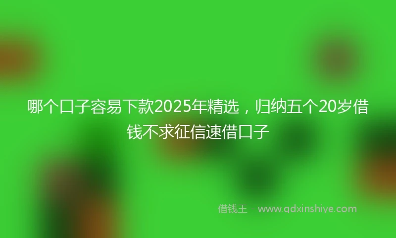 哪个口子容易下款2025年精选，归纳五个20岁借钱不求征信速借口子