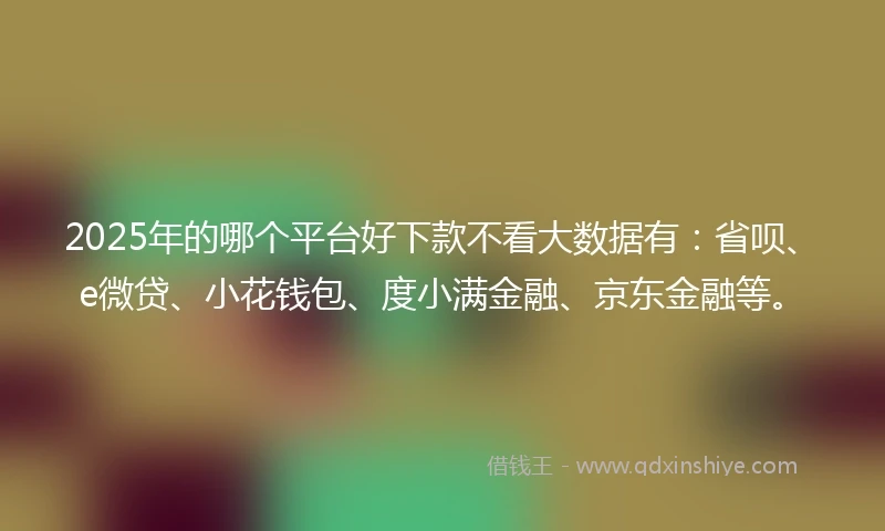 2025年的哪个平台好下款不看大数据有：省呗、e微贷、小花钱包、度小满金融、京东金融等。
