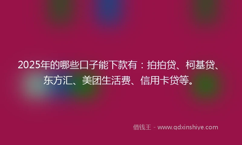 2025年的哪些口子能下款有：拍拍贷、柯基贷、东方汇、美团生活费、信用卡贷等。
