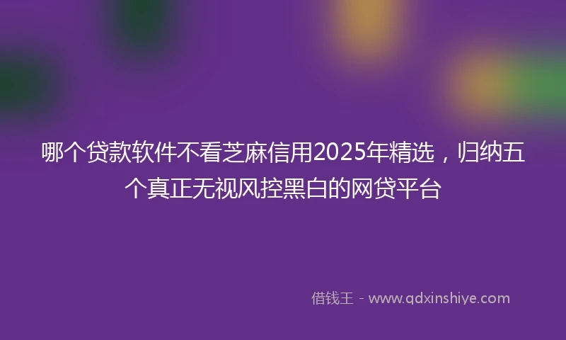 哪个贷款软件不看芝麻信用2025年精选，归纳五个真正无视风控黑白的网贷平台
