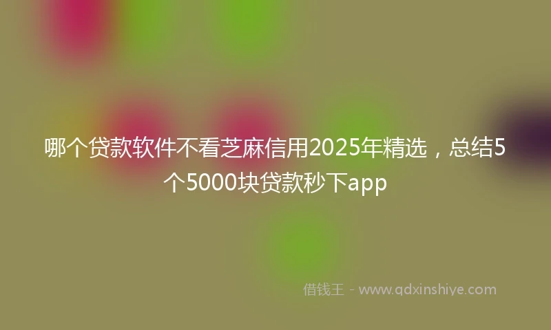 哪个贷款软件不看芝麻信用2025年精选，总结5个5000块贷款秒下app