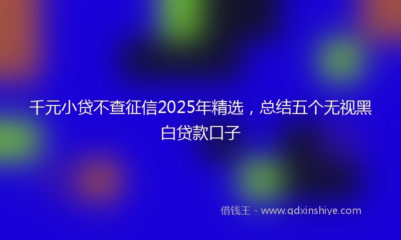 千元小贷不查征信2025年精选，总结五个无视黑白贷款口子