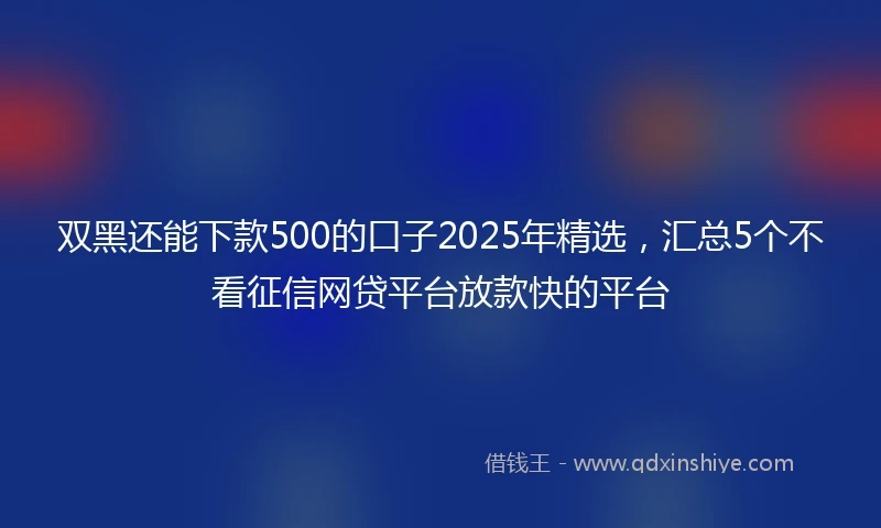 双黑还能下款500的口子2025年精选,汇总5个不看征信网贷平台放款快的平台