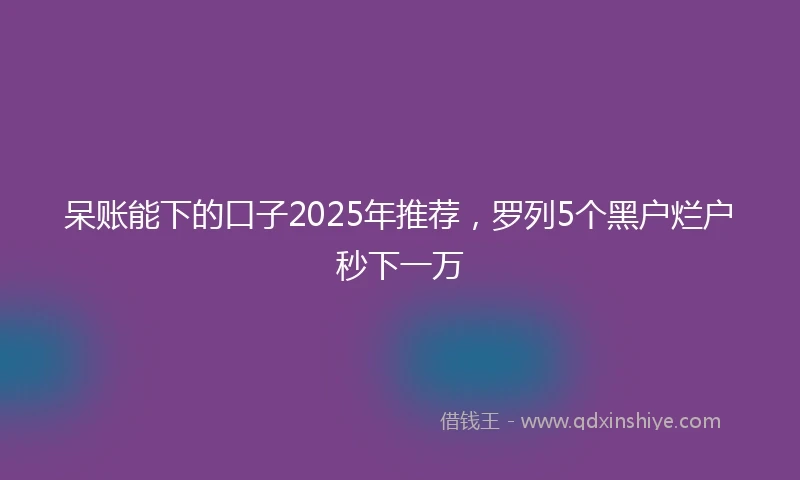 呆账能下的口子2025年推荐，罗列5个黑户烂户秒下一万