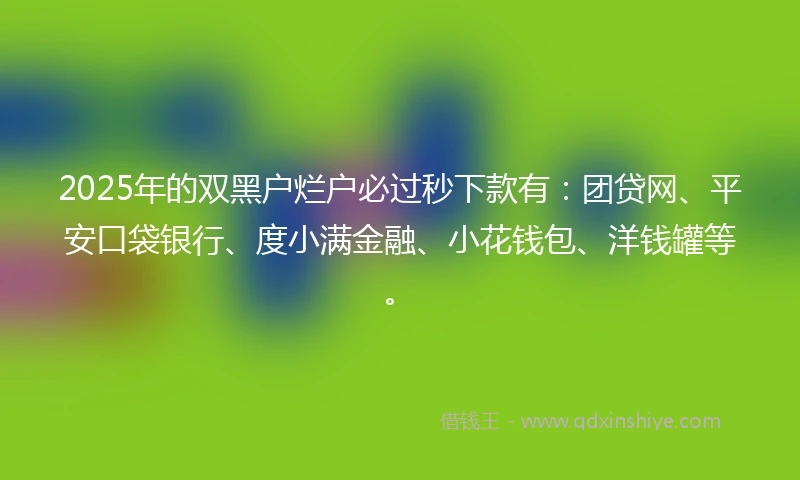 2025年的双黑户烂户必过秒下款有：团贷网、平安口袋银行、度小满金融、小花钱包、洋钱罐等。