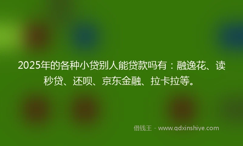 2025年的各种小贷别人能贷款吗有:融逸花、读秒贷、还呗、京东金融、拉卡拉等。