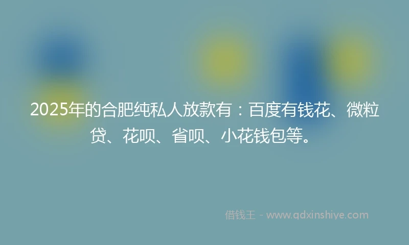 2025年的合肥纯私人放款有:百度有钱花、微粒贷、花呗、省呗、小花钱包等。