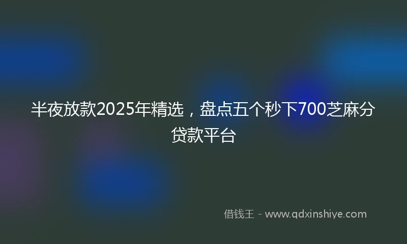 半夜放款2025年精选，盘点五个秒下700芝麻分贷款平台