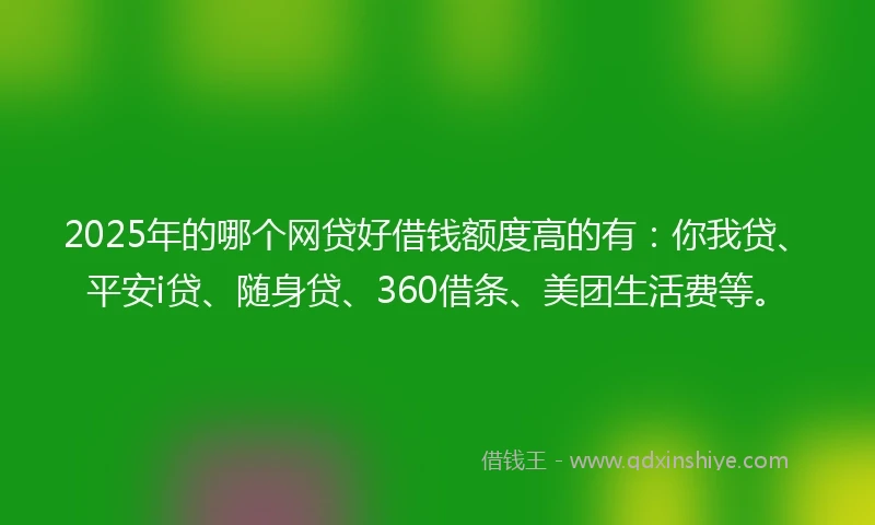 2025年的哪个网贷好借钱额度高的有:你我贷、平安i贷、随身贷、360借条、美团生活费等。