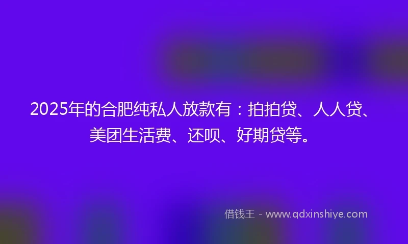 2025年的合肥纯私人放款有：拍拍贷、人人贷、美团生活费、还呗、好期贷等。