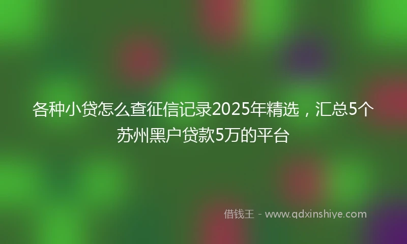 各种小贷怎么查征信记录2025年精选,汇总5个苏州黑户贷款5万的平台