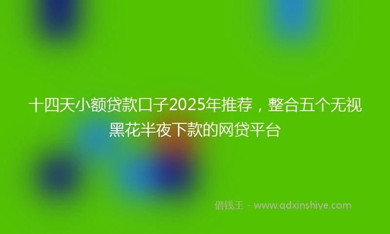 十四天小额贷款口子2025年推荐，整合五个无视黑花半夜下款的网贷平台