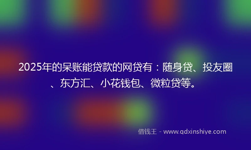 2025年的呆账能贷款的网贷有：随身贷、投友圈、东方汇、小花钱包、微粒贷等。