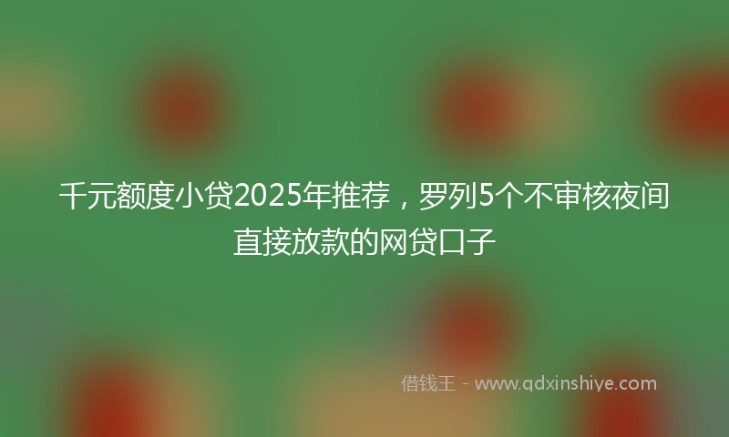 千元额度小贷2025年推荐，罗列5个不审核夜间直接放款的网贷口子