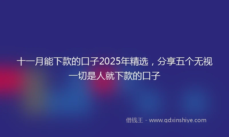 十一月能下款的口子2025年精选，分享五个无视一切是人就下款的口子