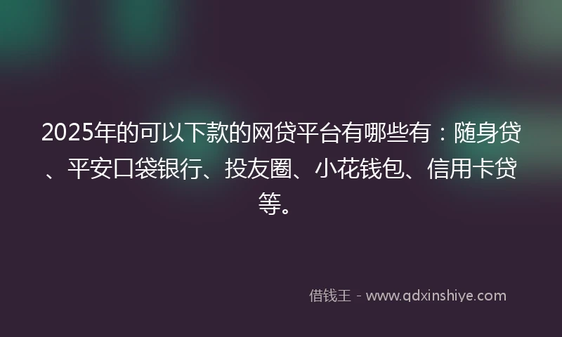 2025年的可以下款的网贷平台有哪些有：随身贷、平安口袋银行、投友圈、小花钱包、信用卡贷等。