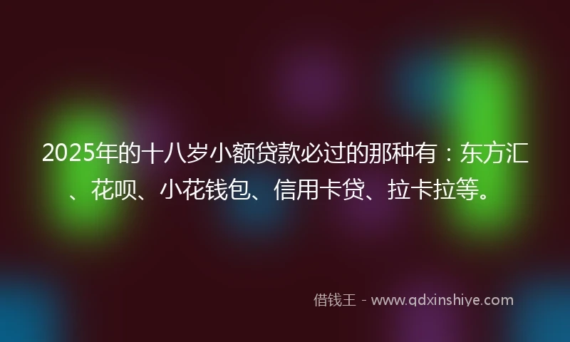 2025年的十八岁小额贷款必过的那种有：东方汇、花呗、小花钱包、信用卡贷、拉卡拉等。