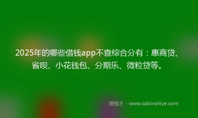 2025年的哪些借钱app不查综合分有：惠商贷、省呗、小花钱包、分期乐、微粒贷等。