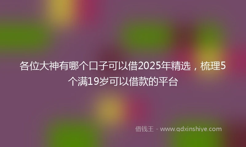 各位大神有哪个口子可以借2025年精选，梳理5个满19岁可以借款的平台