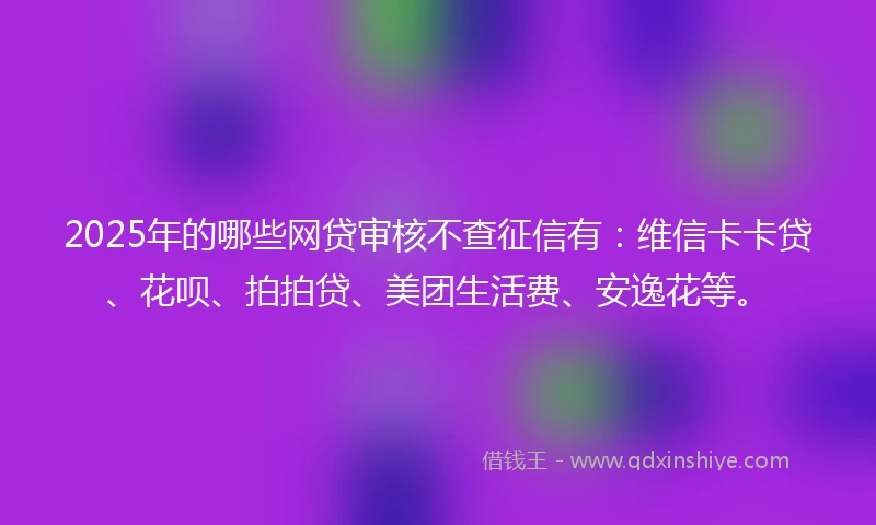 2025年的哪些网贷审核不查征信有：维信卡卡贷、花呗、拍拍贷、美团生活费、安逸花等。