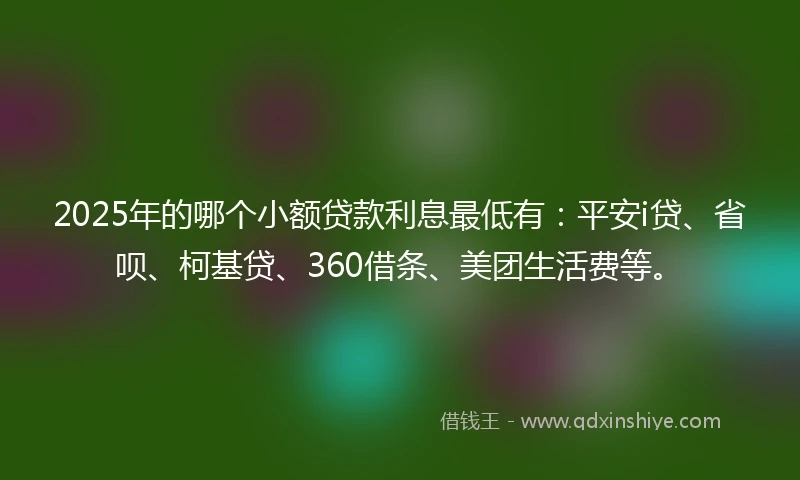 2025年的哪个小额贷款利息最低有：平安i贷、省呗、柯基贷、360借条、美团生活费等。