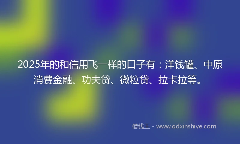 2025年的和信用飞一样的口子有：洋钱罐、中原消费金融、功夫贷、微粒贷、拉卡拉等。