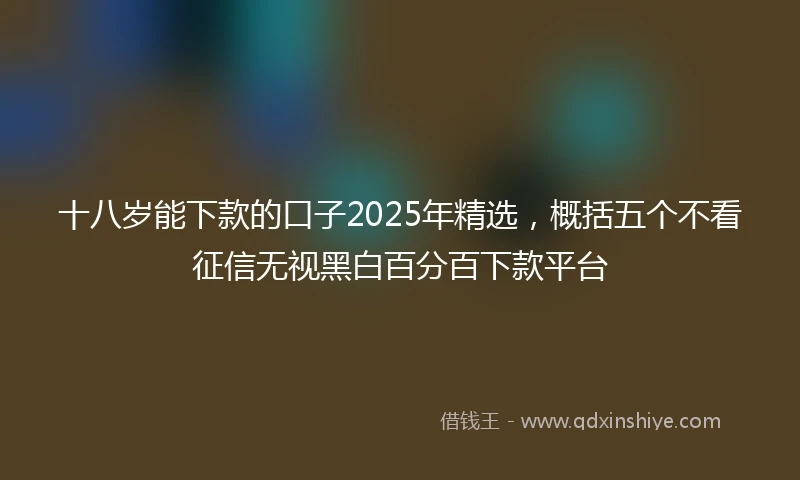 十八岁能下款的口子2025年精选，概括五个不看征信无视黑白百分百下款平台