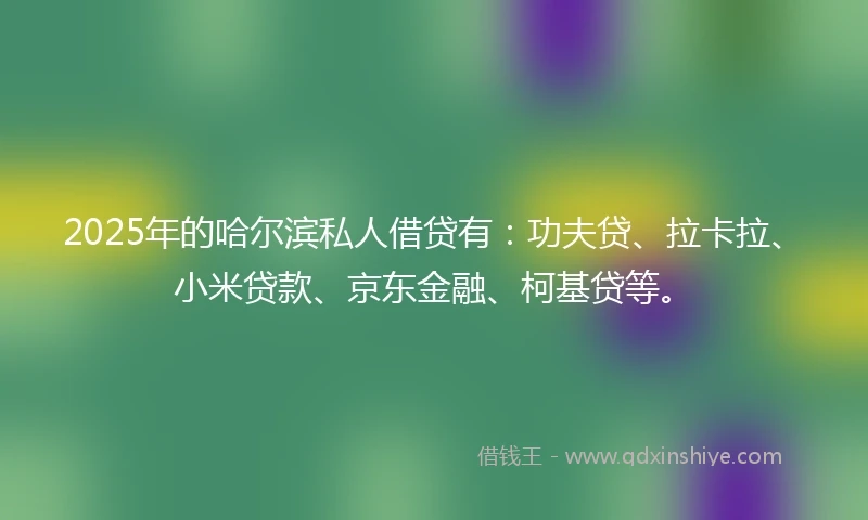 2025年的哈尔滨私人借贷有：功夫贷、拉卡拉、小米贷款、京东金融、柯基贷等。