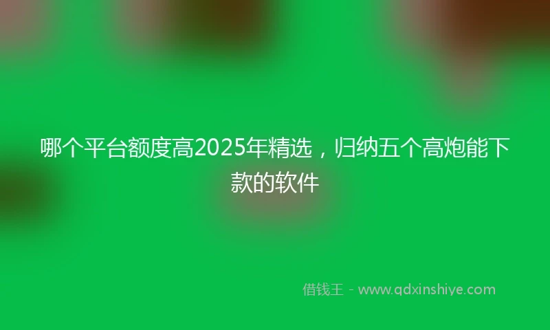哪个平台额度高2025年精选，归纳五个高炮能下款的软件