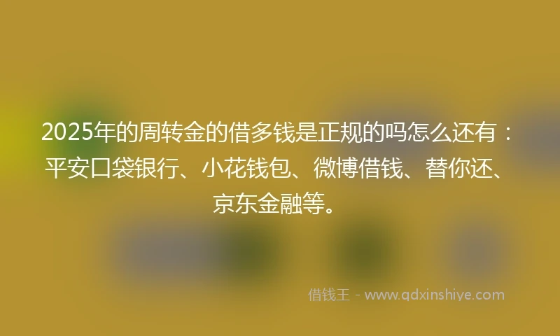 2025年的周转金的借多钱是正规的吗怎么还有：平安口袋银行、小花钱包、微博借钱、替你还、京东金融等。