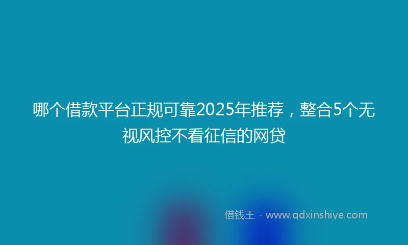 哪个借款平台正规可靠2025年推荐,整合5个无视风控不看征信的网贷