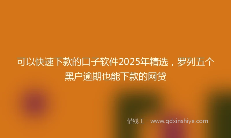 可以快速下款的口子软件2025年精选，罗列五个黑户逾期也能下款的网贷