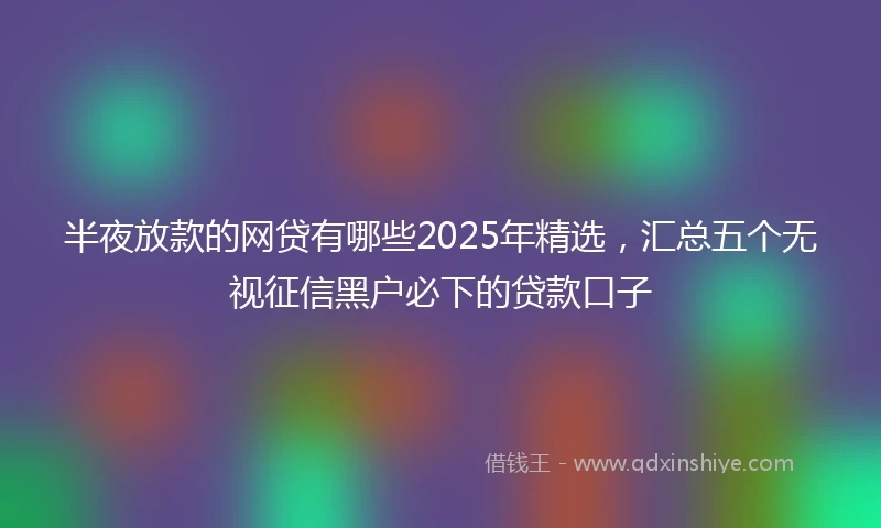 半夜放款的网贷有哪些2025年精选，汇总五个无视征信黑户必下的贷款口子