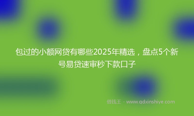 包过的小额网贷有哪些2025年精选，盘点5个新号易贷速审秒下款口子