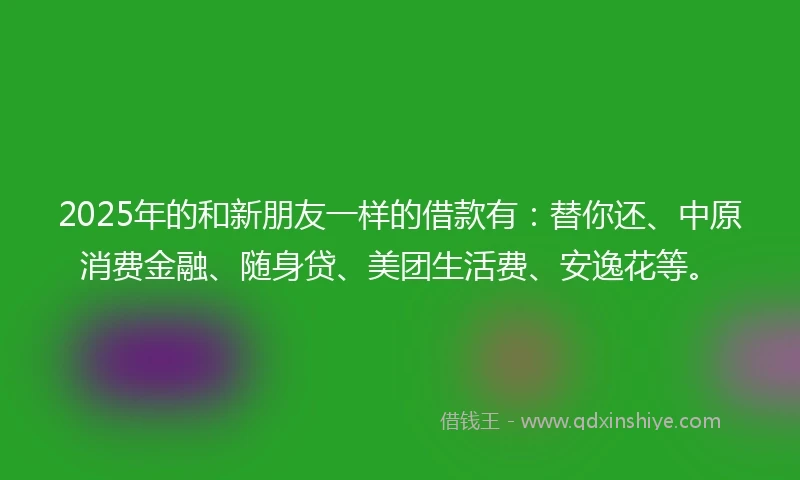 2025年的和新朋友一样的借款有：替你还、中原消费金融、随身贷、美团生活费、安逸花等。